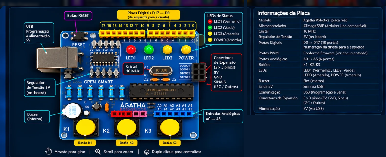Minha Placa Ágatha — visualização da placa